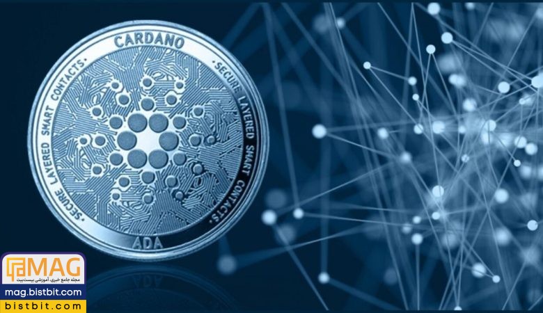 cardano update vasil