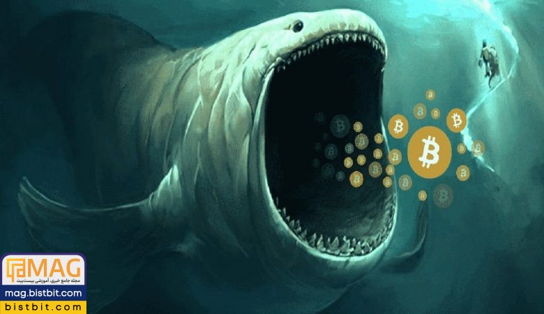 crypto whale