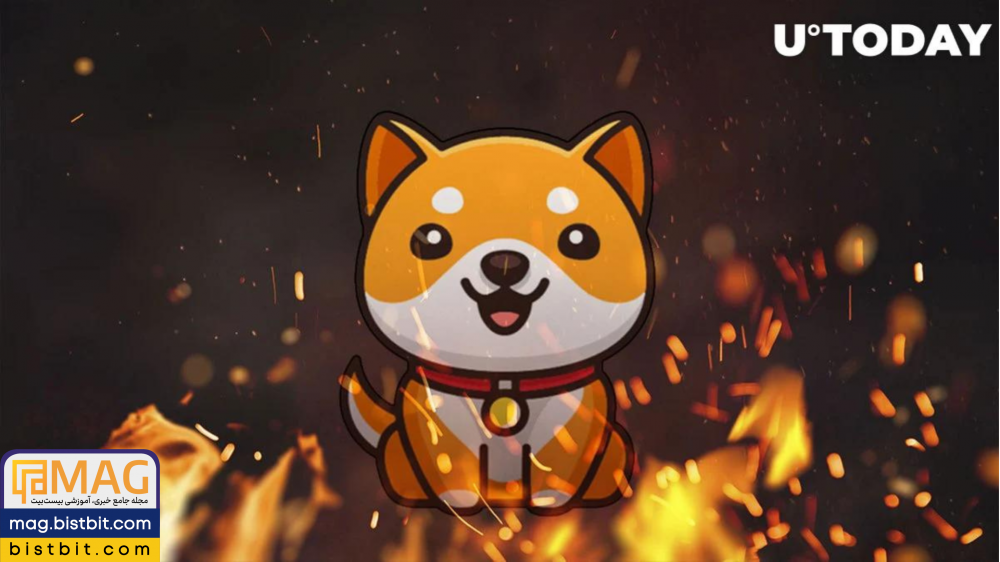 baby doge coin burn