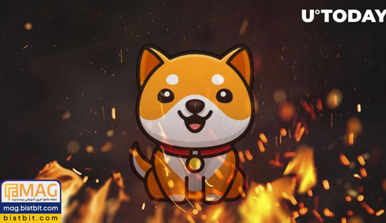 baby doge coin burn